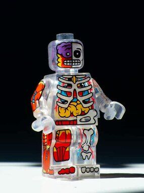 Transparent Anatomy Skeleton Minifigure